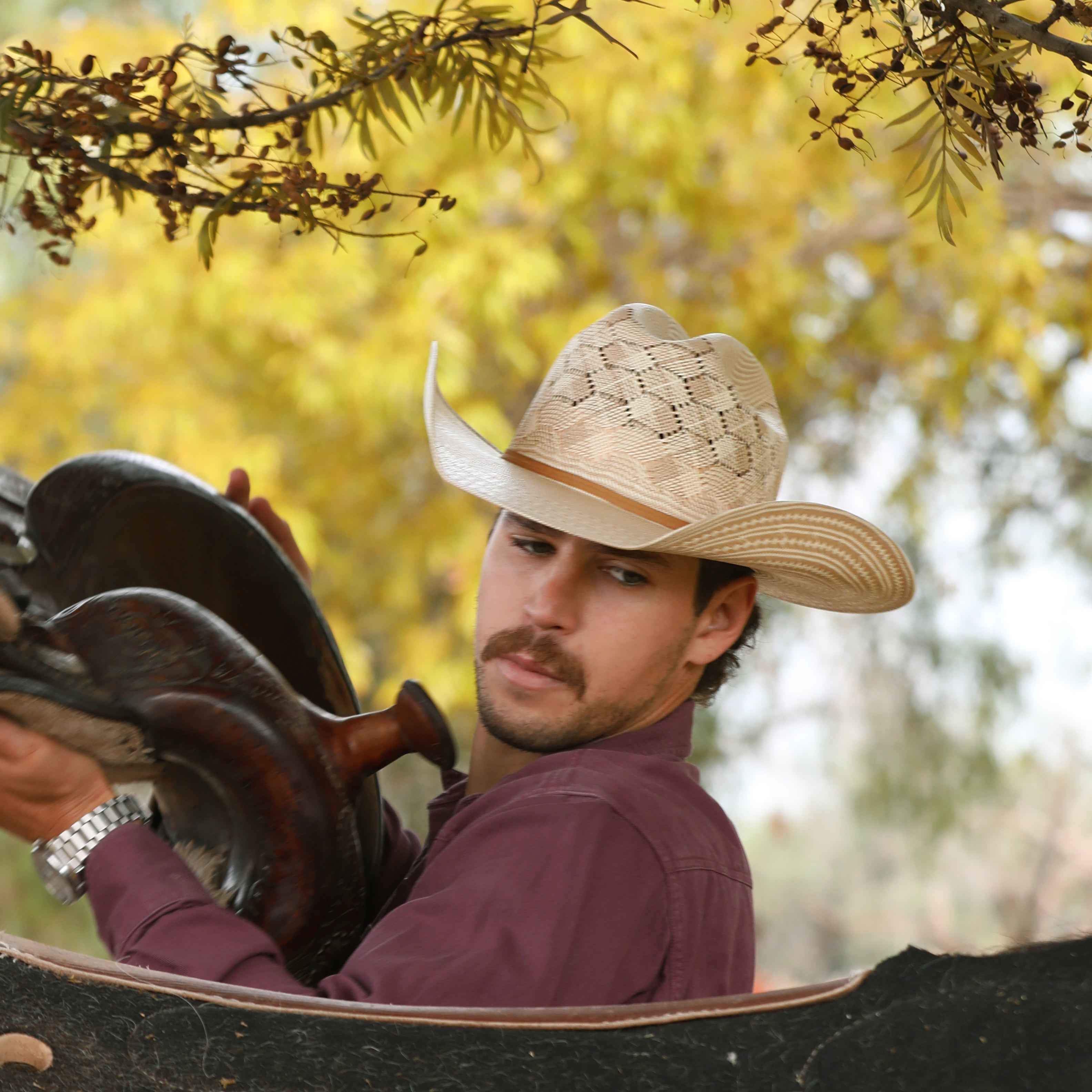 Arizona Arab Bicolor
