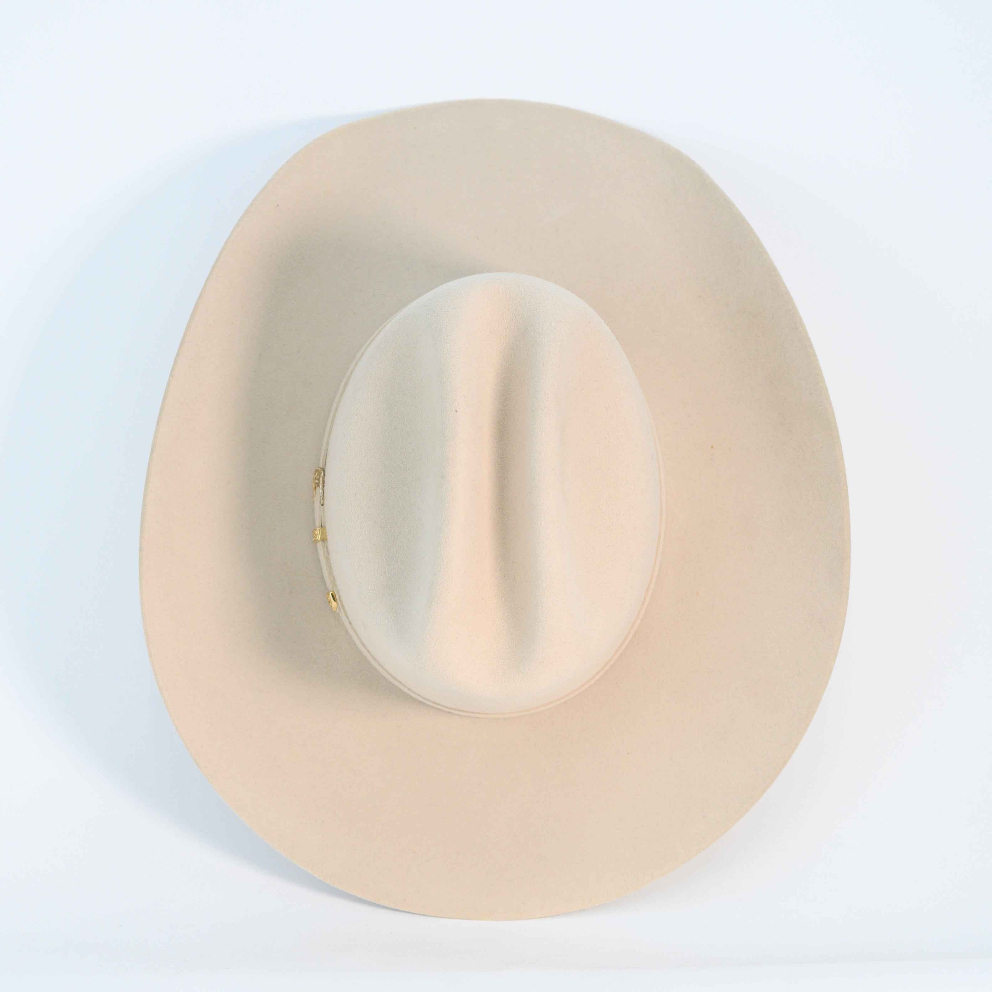 Dallas Texana Pelo Conejo 1000x Negro